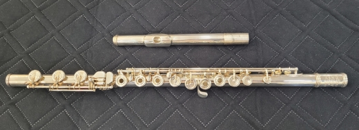 Selmer Intermediate Flute - SFL511BO