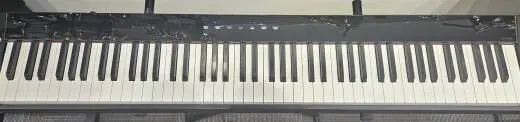 Casio - PX-S1000BK