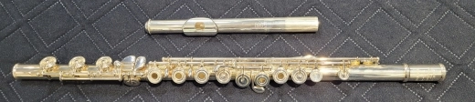 Amadeus Intermediate Flute - AF680-BO