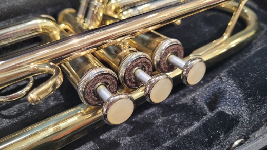 Carlton Student Trumpet - CTR101 3