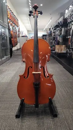 Schoenbach Student Cello - 40/7 1/8