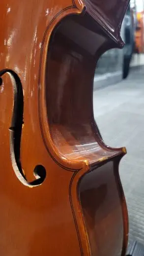 Schoenbach Student Cello - 40/7 1/8 2
