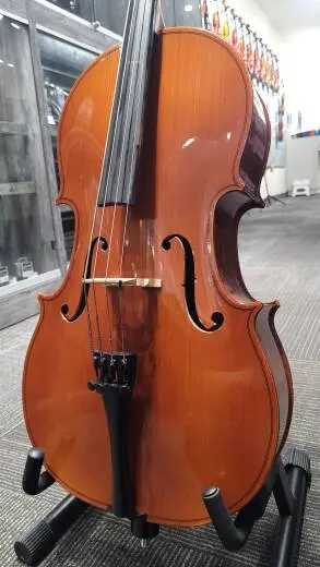 Schoenbach Student Cello - 40/7 1/8 2