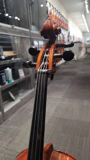 Schoenbach Student Cello - 40/7 1/8 2