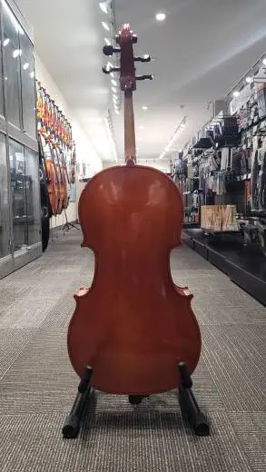 Schoenbach Student Cello - 40/7 1/8 2