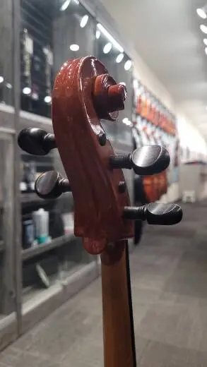 Schoenbach Student Cello - 40/7 1/8 2