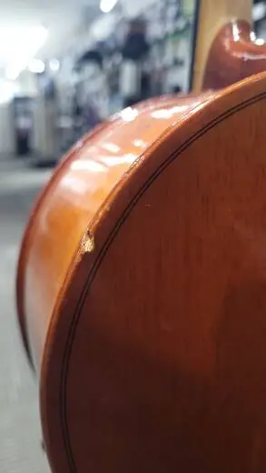 Schoenbach Student Cello - 40/7 1/8 2