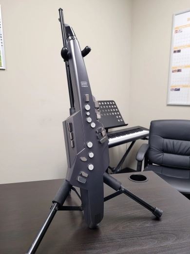 Roland Digital Multi-Wind Instrument- AE-10G