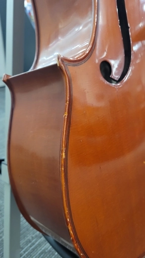 Store Special Product - Yamaha Student Cello - VC5S 3/4