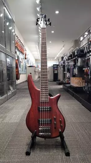 Jackson JS3 Spectra 5 (Walnut Stain) - 291-9005-557