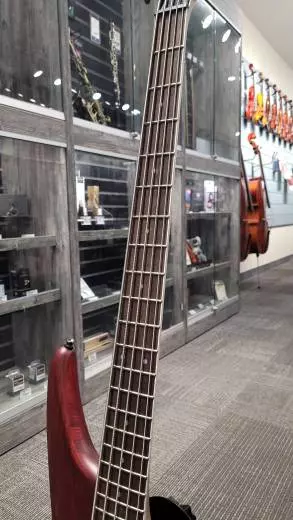 Jackson JS3 Spectra 5 (Walnut Stain) - 291-9005-557 2