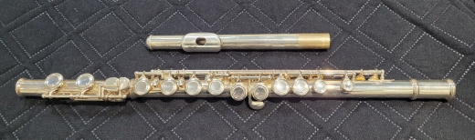 Carlton Student Flute - CFL100
