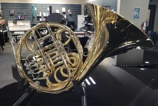 Yamaha Double French Horn - YHR567 2