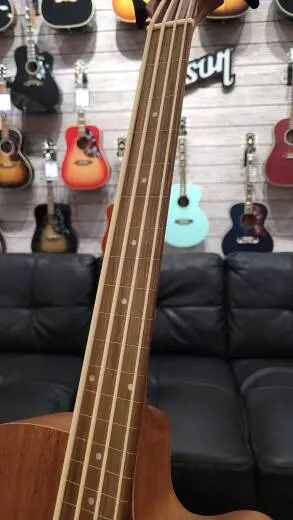 Gold Tone Micro Bass  - M-BASS25FL 2