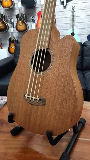 Gold Tone Micro Bass  - M-BASS25FL 2