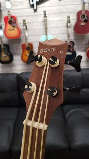 Gold Tone Micro Bass  - M-BASS25FL 2