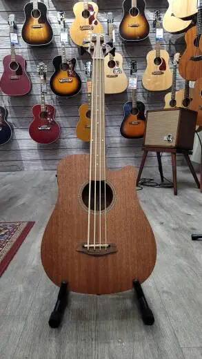 Gold Tone Micro Bass  - M-BASS25FL