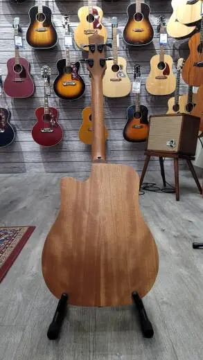 Gold Tone Micro Bass  - M-BASS25FL 2