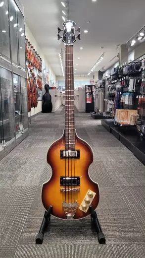 Store Special Product - Epiphone - EBVIVSCH
