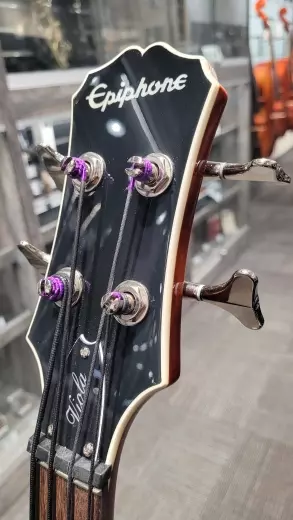 Store Special Product - Epiphone - EBVIVSCH