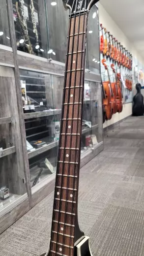 Epiphone - EBVIVSCH 2