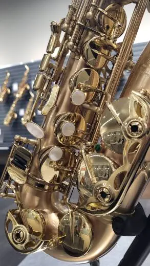 P Mauriat Intermediate Saxophone - LE BRAVO ALTO 2