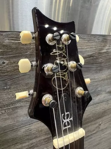 PRS Private Stock DGT Birds 5