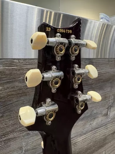 PRS Private Stock DGT Birds 6