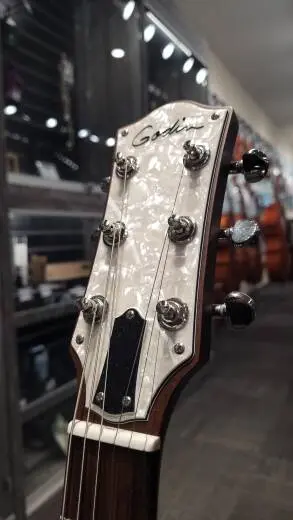 Godin Radiator - Bourbon Burst - G48465 2