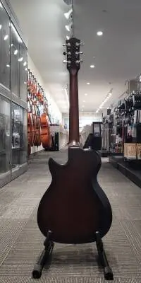 Godin Radiator - Bourbon Burst - G48465 2