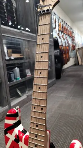EVH  Striped Series - 510-7902-503 2