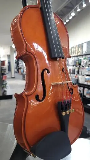 Stentor Student Violin - ST1018 1/2 2