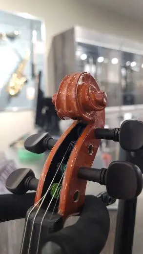 Stentor Student Violin - ST1018 1/2 2