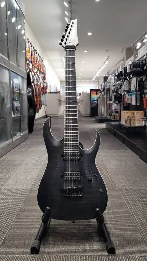 Ibanez Iron Label RGAIX7 HH - RGAIX7FM-TGF