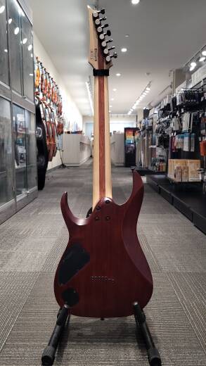 Gear Hunter | Ibanez Iron Label RGAIX7 HH - RGAIX7FM-TGF