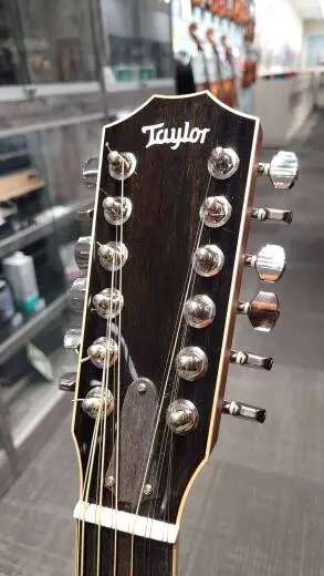 Taylor Guitars - 858E STD 2