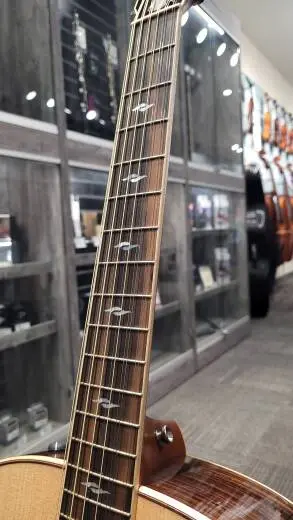 Taylor Guitars - 858E STD 2