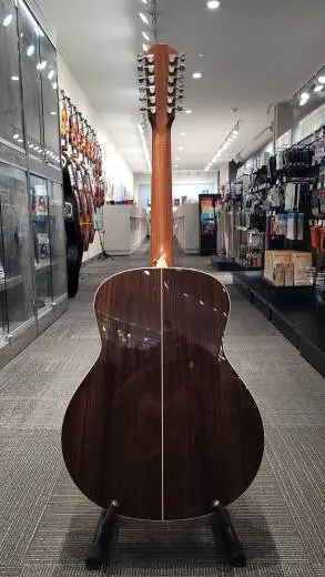 Taylor Guitars - 858E STD 2
