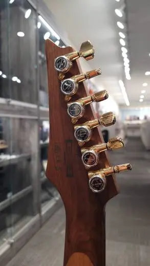 Ibanez RG - Blue Reef Gradation - RG421HPFMBRG 2