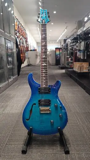 PRS Custom24 Semi Hollow - 114300::LB: