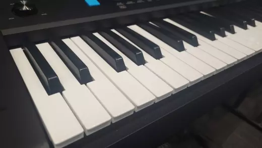 Yamaha 61-Note Keyboard - PSRE473 2