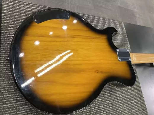 Jay Turser Electric Thinline Resonator 2