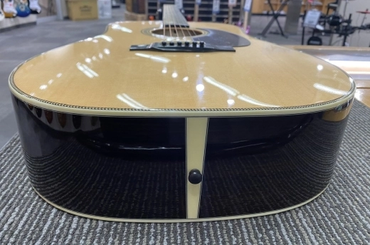 Eastman E8D 8