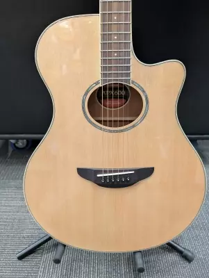 YAMAHA APX600 NT 2
