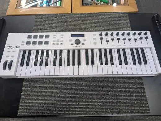 Store Special Product - Arturia - KEYLAB ESSE 49