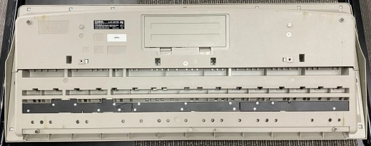 Casio LK-270 61 Key 2