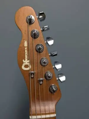 Charvel Guitars - 296-6561-527 2