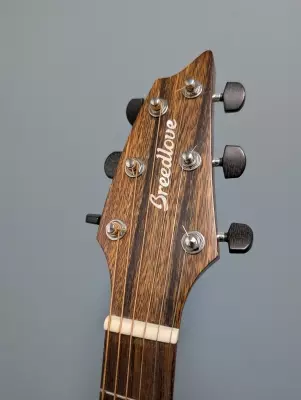 BREEDLOVE WILDWOOD CONCERT SATIN CE 3
