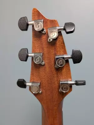 BREEDLOVE WILDWOOD CONCERT SATIN CE 5