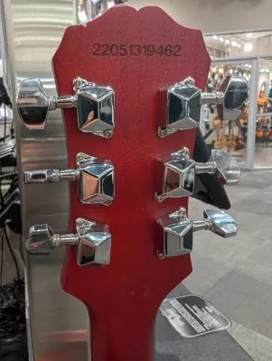 Epiphone - ELPVVHCH 2